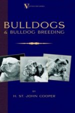 Bulldogs and Bulldog Breeding (A Vintage Dog Books Breed Classic)