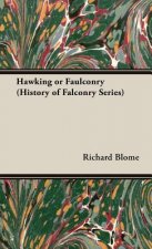 Hawking Or Faulconry (History of Falconry Series)