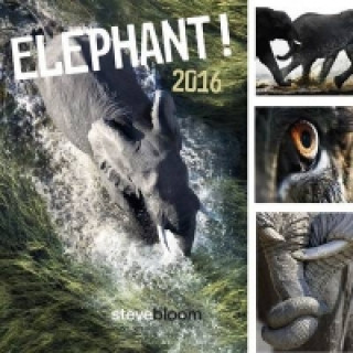 Elephant 2016