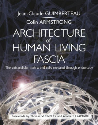 Architecture of Human Living Fascia