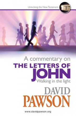 Commentary on the Letters of John