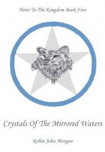 Crystals of the Mirrored Waters