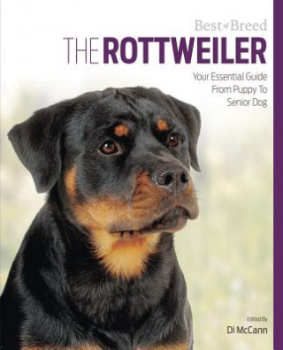 Rottweiler Best of Breed