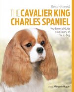 Cavalier King Charles Spaniel Best of Breed