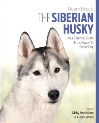 Siberian Husky Best of Breed