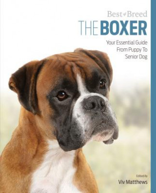 Boxer Best of Breed