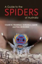 Guide to Spiders of Australia