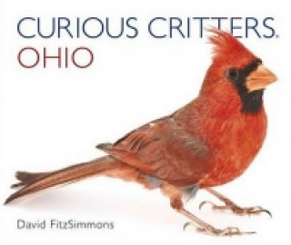 Curious Critters Ohio