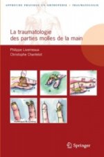 La traumatologie des parties molles de la main