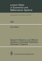 Descent Directions and Efficient Solutions in Discretely Distributed Stochastic Programs