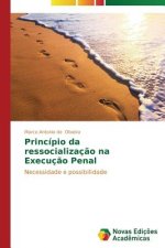 Principio da ressocializacao na Execucao Penal