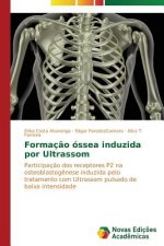 Formacao ossea induzida por Ultrassom