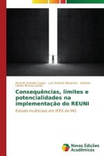 Consequencias, limites e potencialidades na implementacao do REUNI
