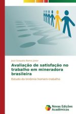 Avaliacao de satisfacao no trabalho em mineradora brasileira