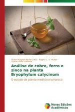 Analise de cobre, ferro e zinco na planta Bryophylum calycinum