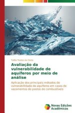 Avaliacao da vulnerabilidade de aquiferos por meio de analise