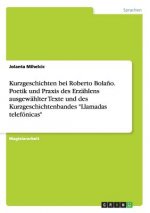 Kurzgeschichten bei Roberto Bolano. Poetik und Praxis des Erzahlens ausgewahlter Texte und des Kurzgeschichtenbandes Llamadas telefonicas