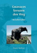 Guanacos kreuzen den Weg