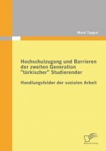 Hochschulzugang und Barrieren der zweiten Generation turkischer Studierender - Handlungsfelder der sozialen Arbeit