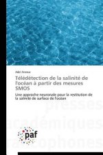 Teledetection de la Salinite de l'Ocean A Partir Des Mesures Smos