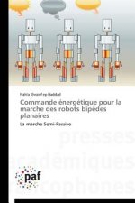 Commande Energetique Pour La Marche Des Robots Bipedes Planaires