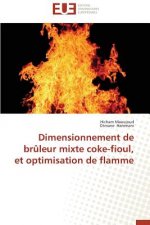 Dimensionnement de Bruleur Mixte Coke-Fioul, Et Optimisation de Flamme