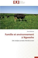Famille Et Environnement   Ngweshe