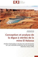 Conception Et Analyse de la Digue A Steriles de la Mine El Halassa