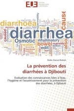 La Pr vention Des Diarrh es   Djibouti