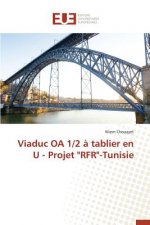 Viaduc OA 1/2   Tablier En U - Projet 