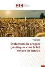 valuation Du Progr s G n tiques Chez Le Bl  Tendre En Tunisie