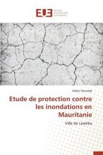 Etude de Protection Contre Les Inondations En Mauritanie
