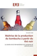 Ma trise de la Production Du Kombucha   Partir Du Th  Noir