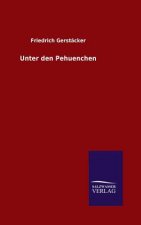 Unter den Pehuenchen