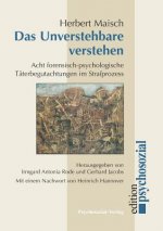 Unverstehbare verstehen