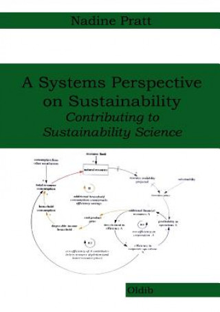 Systems Perspective on Sustainability