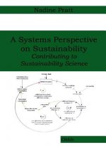 Systems Perspective on Sustainability
