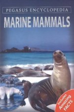 Marine Mammals