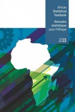 African statistical yearbook 2013