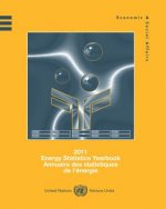 Energy statistics yearbook 2011