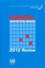 International accounting and reporting issues