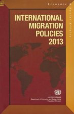 International migration policies 2013