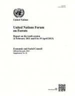 United Nations Forum on Forests