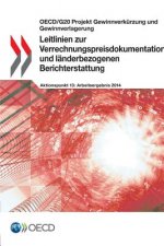 Leitlinien zur Verrechnungspreisdokumentation und landerbezogenen Berichterstattung
