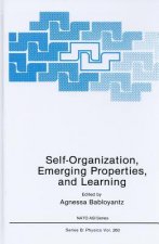 Self-Organization, Emerging Properties, and Learning
