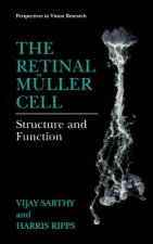 Retinal Muller Cell