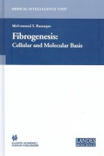 Fibrogenesis