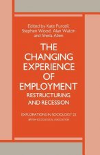 Changing Experience of Employment