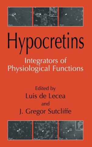 Hypocretins