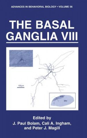 Basal Ganglia VIII